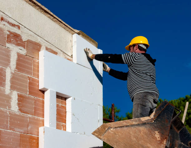 Best Cellulose Insulation in Mmerce City, CO
