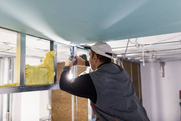 Best Eco-Friendly Insulation in Mmerce City, CO