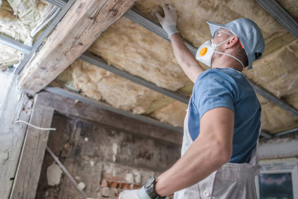 Types of Insulation We Offer in Commerce City, CO