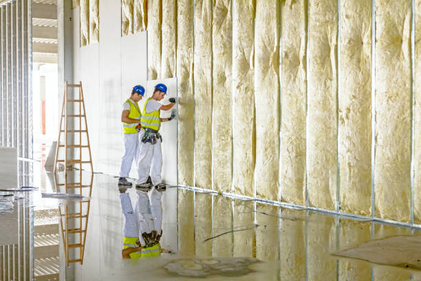 Best Blown-in Insulation in Mmerce City, CO